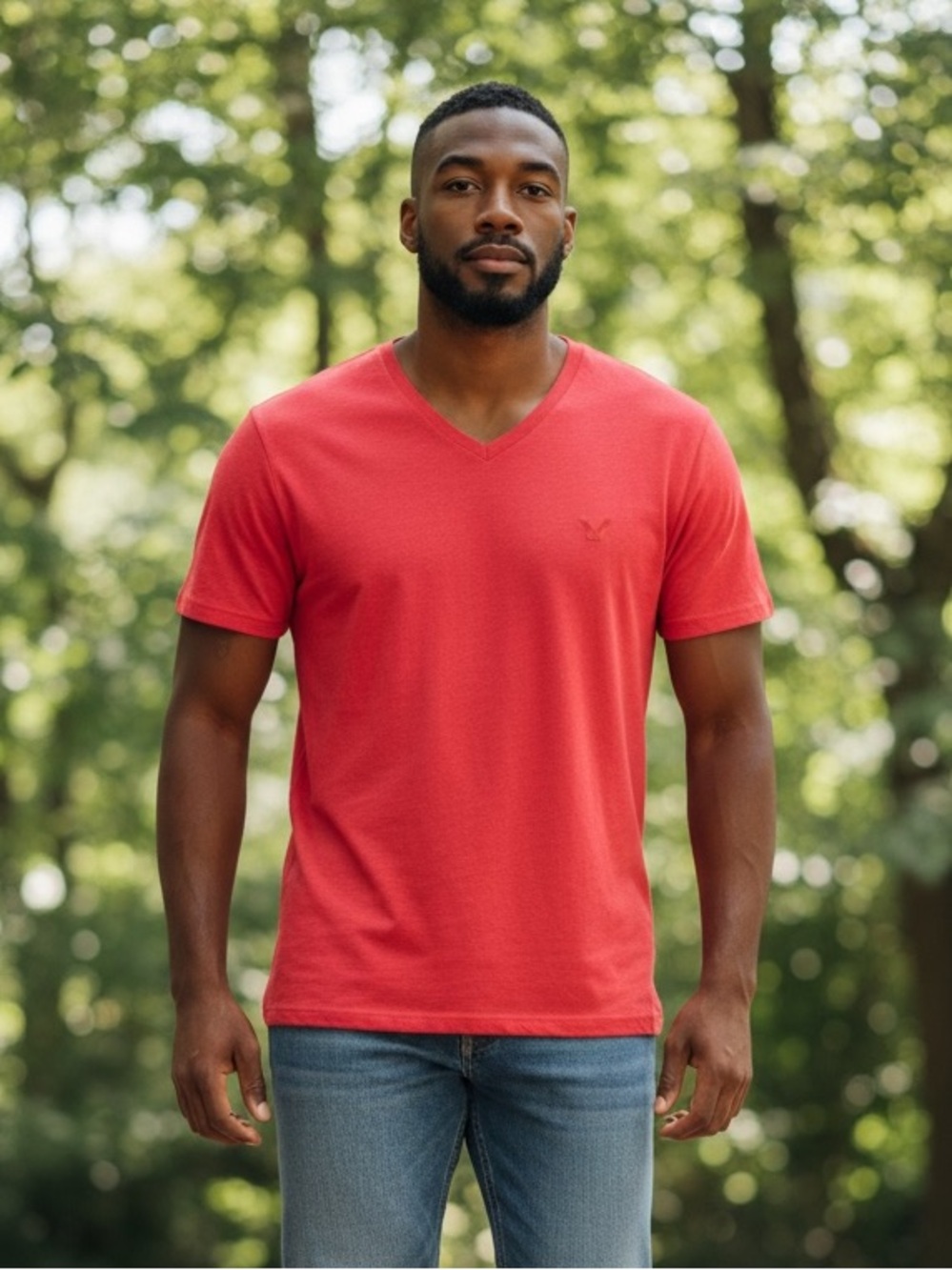 American Eagle Outfitters Red V-Neck Short Sleeve Tee